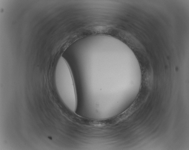 X0000081440746200701120944