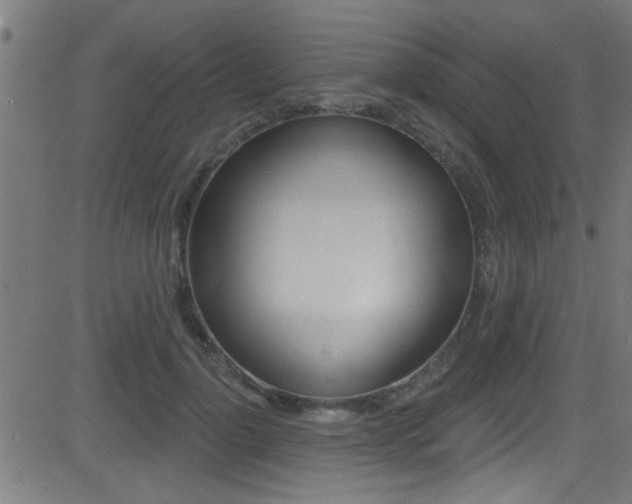 X0000081440748200701120944