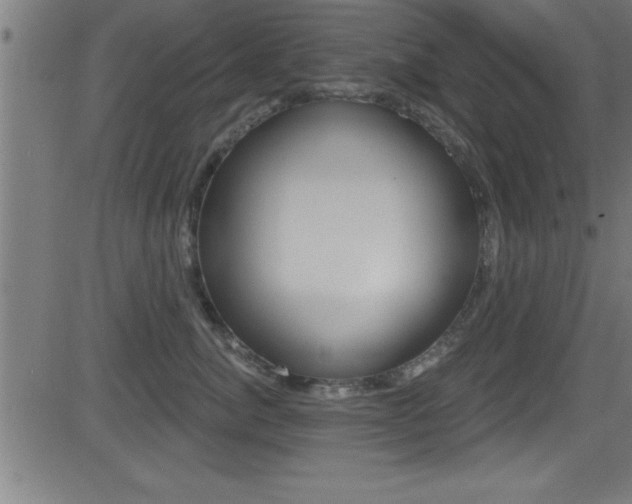 X0000081440764200701120944