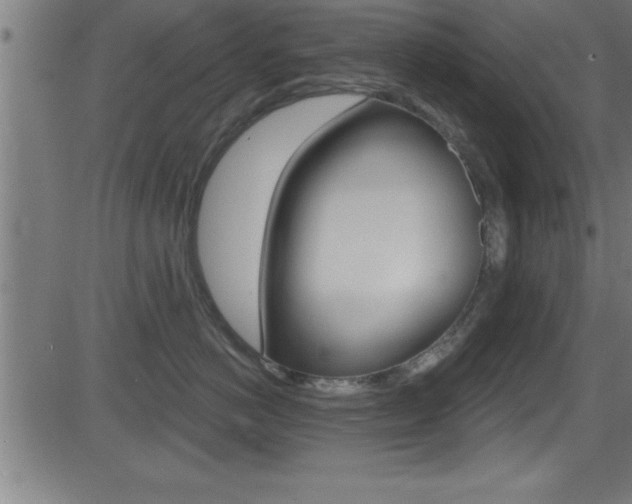 X0000081440766200701120944