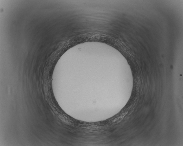 X0000081440769200701120944