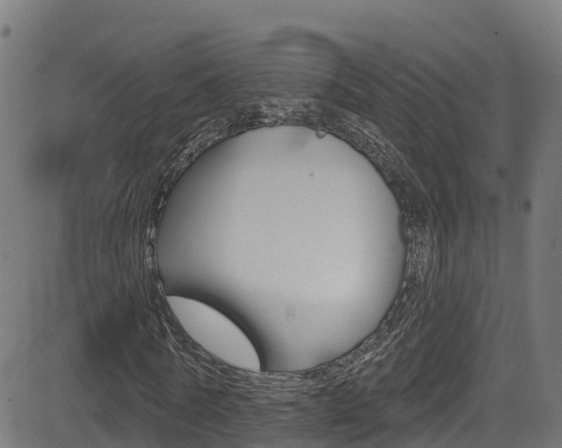 X0000081440770200701120944