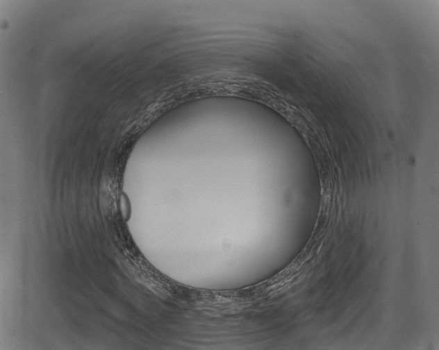 X0000081440772200701120944