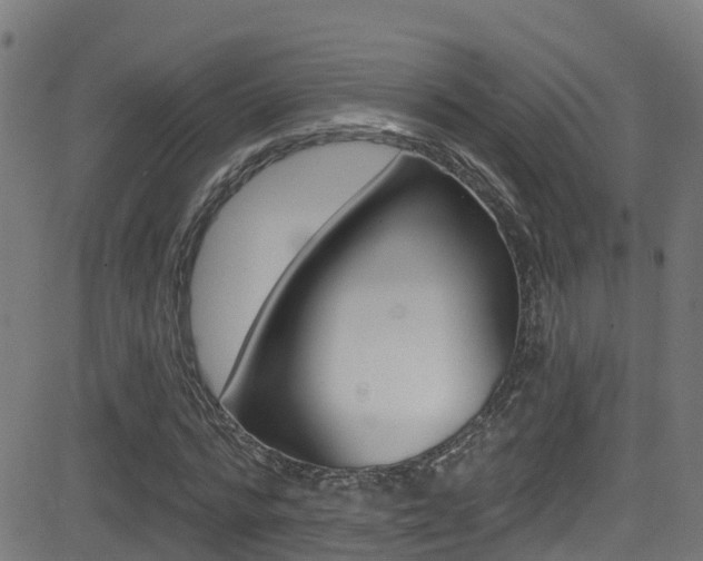 X0000081440776200701120944