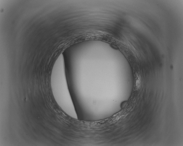 X0000081440819200701120942