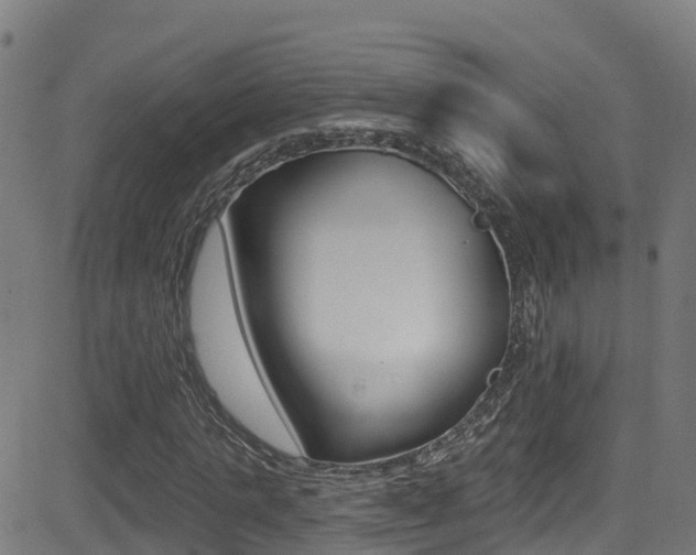 X0000081440821200701120942