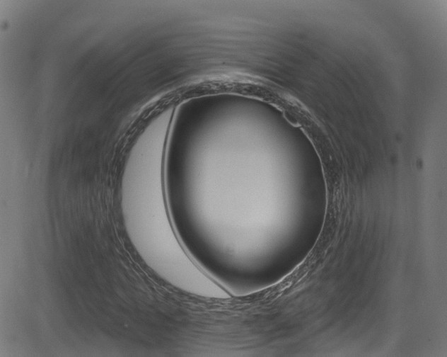 X0000081440822200701120942