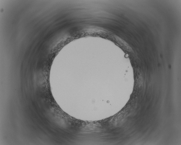 X0000081440824200701120942