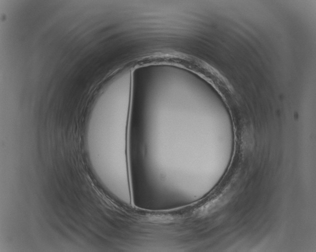 X0000081440825200701120942
