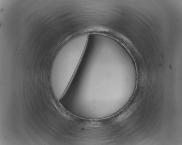X0000081440833200701120942