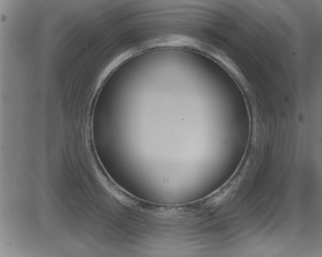 X0000081440850200701120943