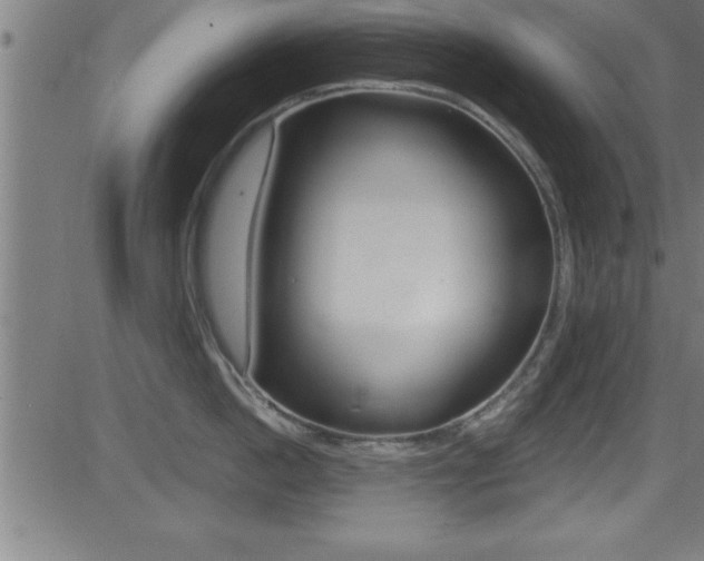 X0000081440862200701120943