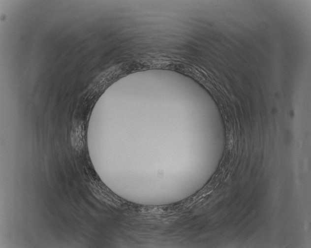X0000081440866200701120942