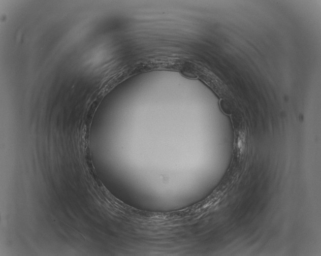 X0000081440867200701120942
