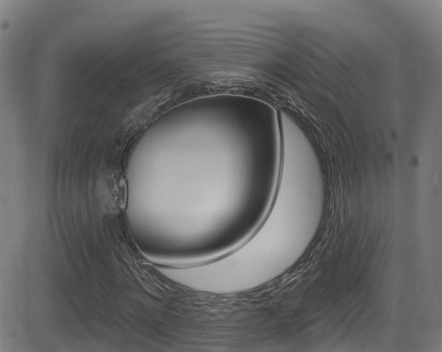 X0000081440868200701120942