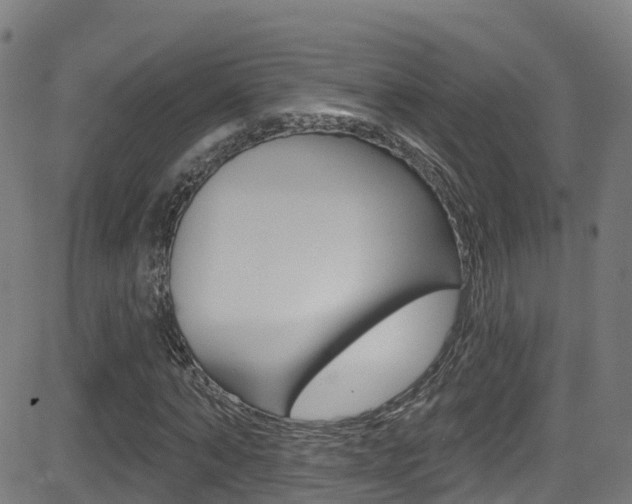 X0000081440870200701120942