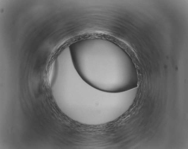 X0000081440871200701120942