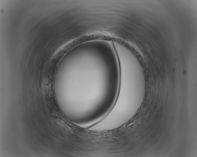 X0000081440872200701120942