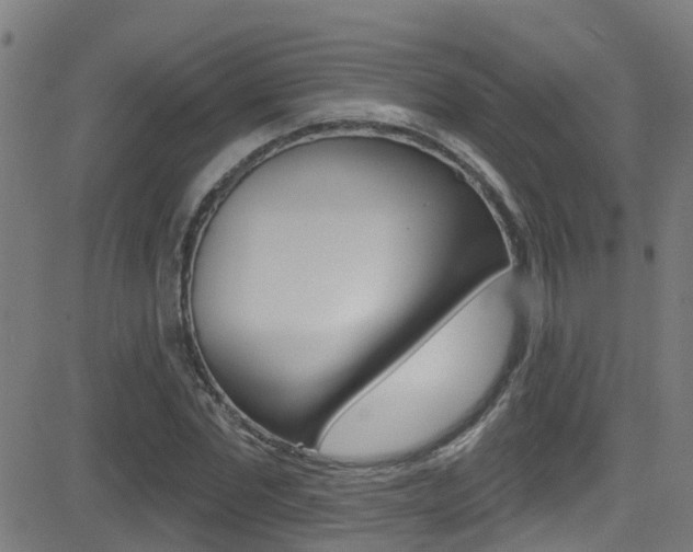 X0000081440877200701120942