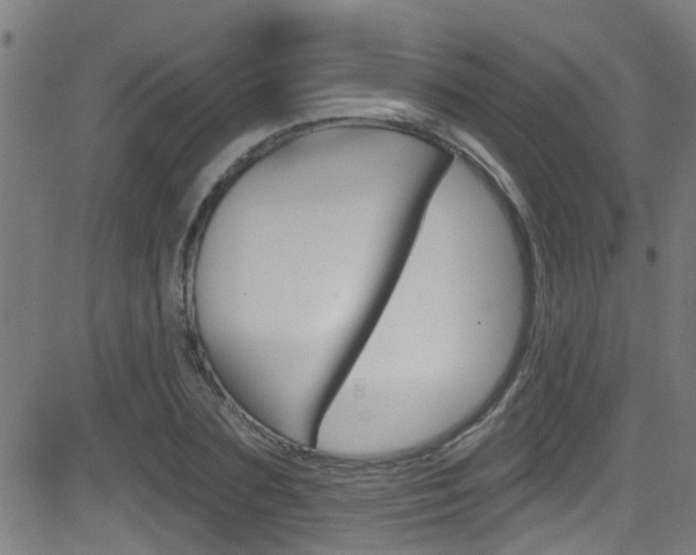 X0000081440883200701120942