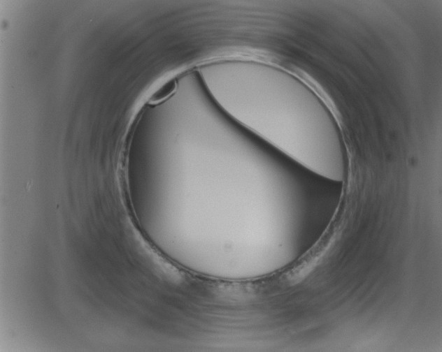 X0000081440901200701120941