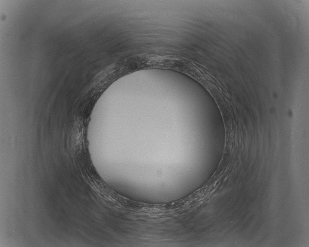X0000081440914200701120940