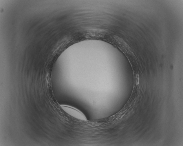 X0000081440915200701120940