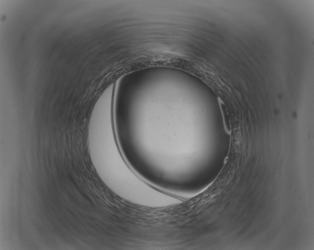 X0000081440916200701120940