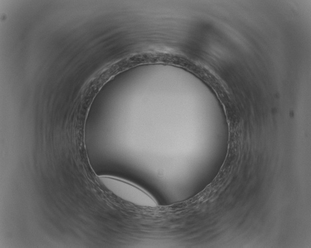 X0000081440919200701120941