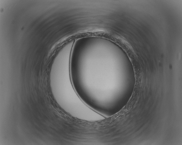 X0000081440920200701120941