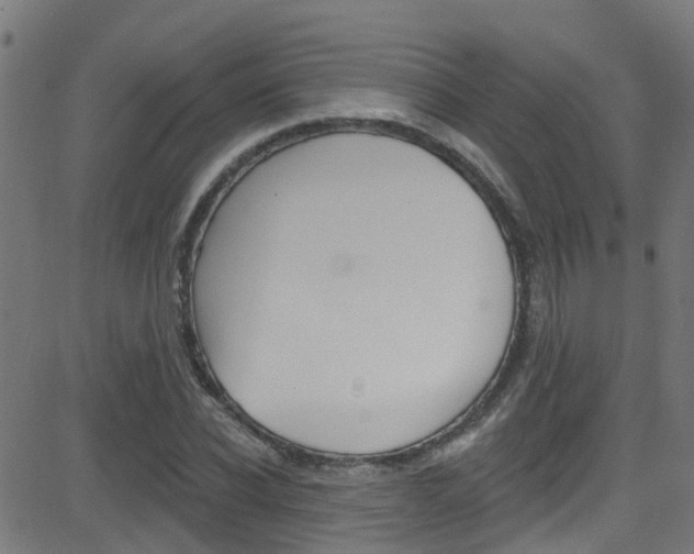 X0000081440926200701120941