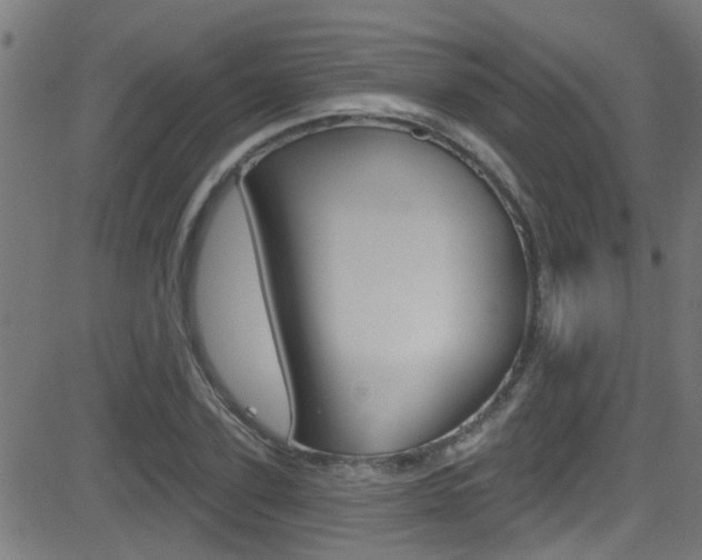 X0000081440931200701120941