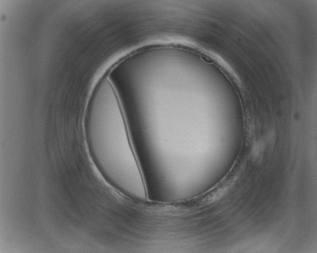 X0000081440943200701120941
