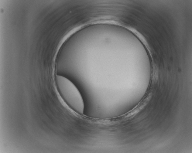 X0000081440957200701120941