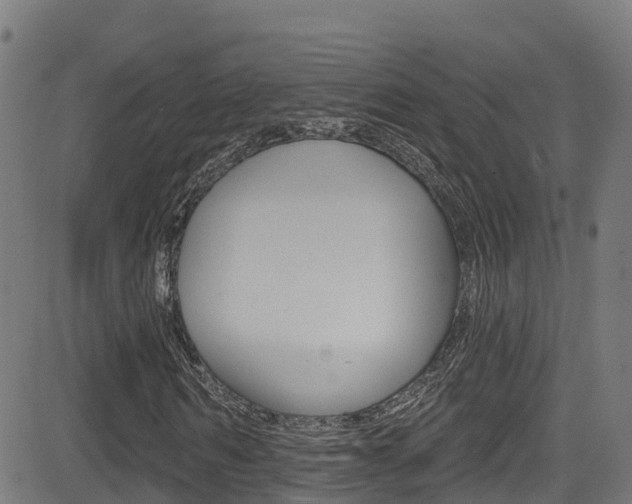 X0000081440962200701120940