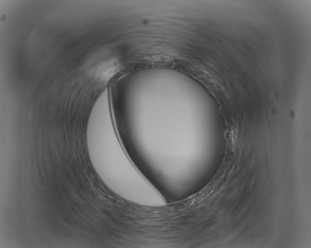 X0000081440963200701120940