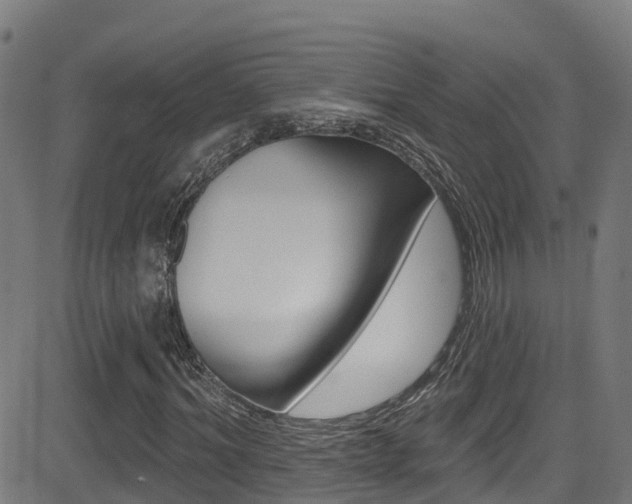 X0000081440964200701120940