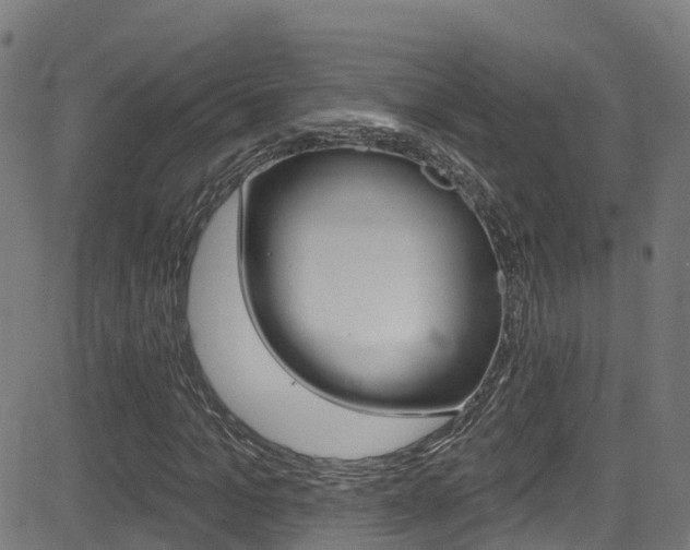X0000081440965200701120940