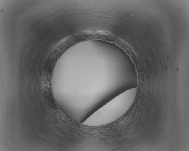 X0000081440966200701120940