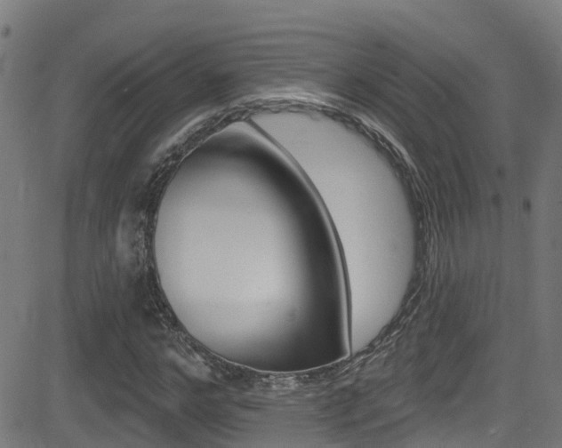 X0000081440968200701120940