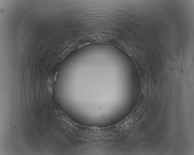 X0000081441010200701120939