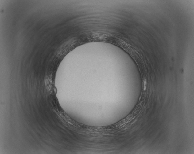 X0000081441011200701120939