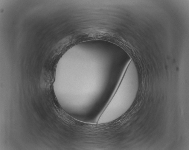 X0000081441012200701120939