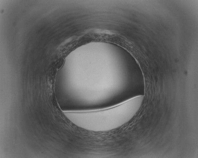 X0000081441013200701120939
