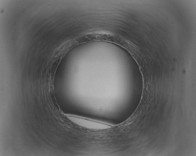 X0000081441014200701120939