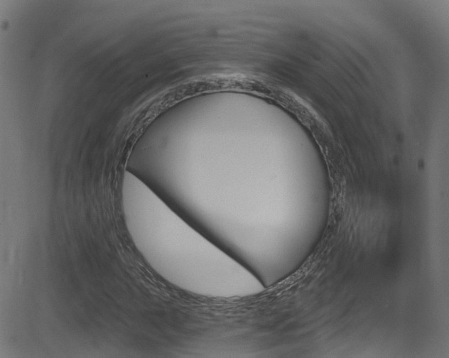 X0000081441015200701120939