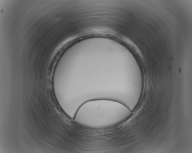 X0000081441019200701120939