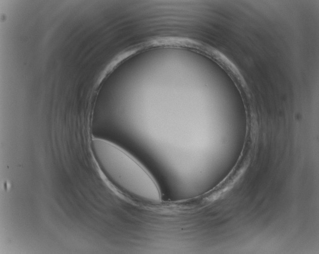 X0000081441041200701120939