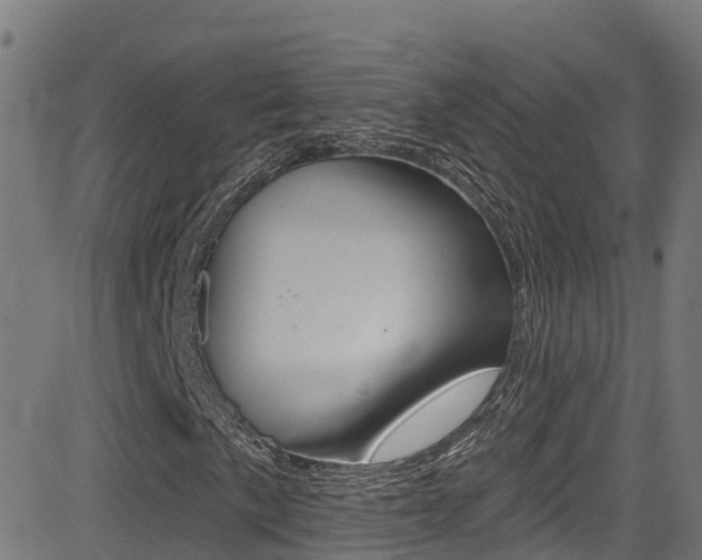 X0000081441057200701120939