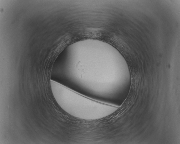 X0000081441058200701120939